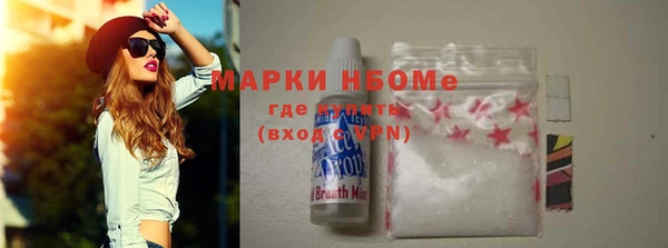 мет Алексин